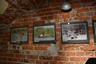 Wystawa Fotografii Grzegorza Sierockiego w MDK-Puawy